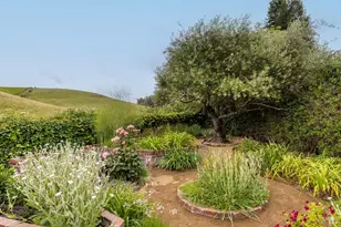 3318 David Dr, Napa, CA 94558 - Photo 37
