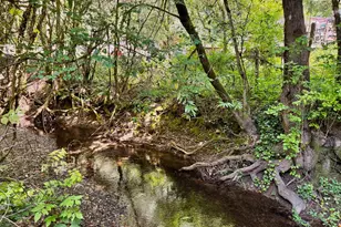 11260 Hwy 116 Hwy, Guerneville, CA 95446 - Photo 41