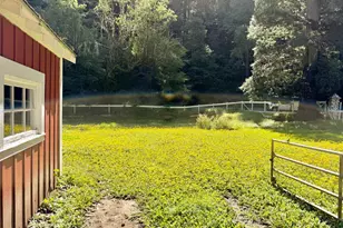 11260 Hwy 116 Hwy, Guerneville, CA 95446 - Photo 43