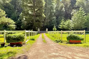 11260 Hwy 116 Hwy, Guerneville, CA 95446 - Photo 31