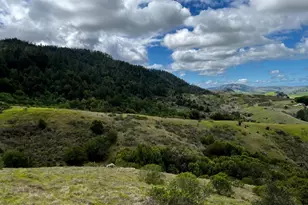 4000 Old Rancheria Rd, Nicasio, CA 94946 - Photo 39
