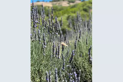 4000 Old Rancheria Road, Nicasio, CA 94946 - Photo 43