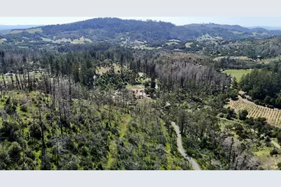 5784 St Helena Road, Santa Rosa, CA 95404 - Photo 3