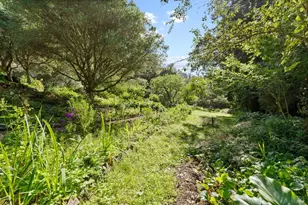543 Montford Ave, Mill Valley, CA 94941 - Photo 55