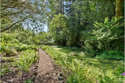 543 Montford Avenue, Mill Valley, CA 94941 - Photo 53