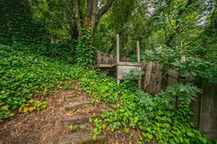 1249 Denlyn St, Novato, CA 94947 - Photo 45