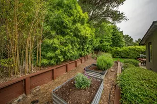1249 Denlyn St, Novato, CA 94947 - Photo 41