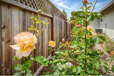 266 Mountain Vista Lane, Santa Rosa, CA 95409 - Photo 47