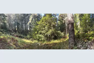 481 Drovers, The Sea Ranch, CA 95497 - Photo 7