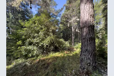 481 Drovers, The Sea Ranch, CA 95497 - Photo 5