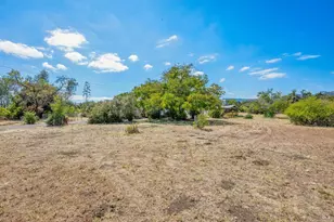 19390 Orange Ave, Sonoma, CA 95476 - Photo 3