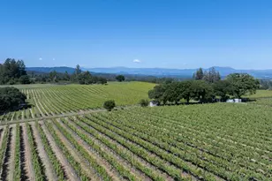 14640 Morelli Ln, Sebastopol, CA 95472 - Photo 7