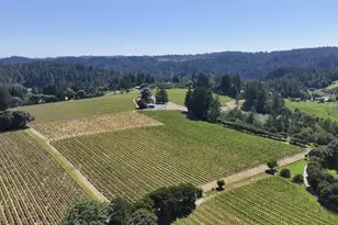 14640 Morelli Ln, Sebastopol, CA 95472 - Photo 21