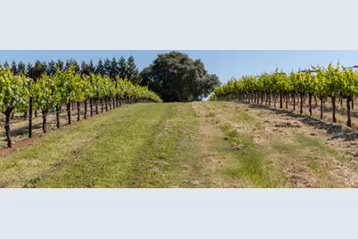 14640 Morelli Lane, Sebastopol, CA 95472 - Photo 13