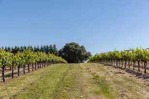 14640 Morelli Ln, Sebastopol, CA 95472 - Photo 13