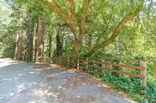 655 Edgewood Ave, Mill Valley, CA 94941 - Photo 47