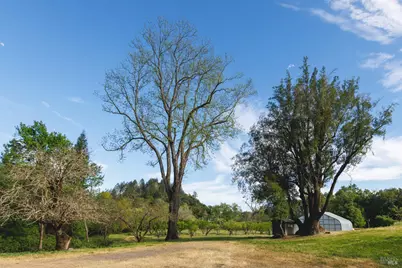 6225 W Soda Rock Lane, Healdsburg, CA 95448 - Photo 45