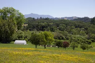 6225 W Soda Rock Ln, Healdsburg, CA 95448 - Photo 51