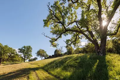 6225 W Soda Rock Lane, Healdsburg, CA 95448 - Photo 39