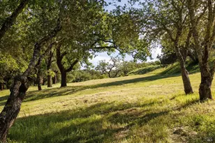 6225 W Soda Rock Ln, Healdsburg, CA 95448 - Photo 59
