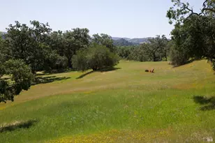 6225 W Soda Rock Ln, Healdsburg, CA 95448 - Photo 61