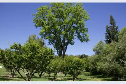 6225 W Soda Rock Lane, Healdsburg, CA 95448 - Photo 47
