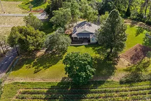 539 Keyes Ave, Angwin, CA 94508 - Photo 9