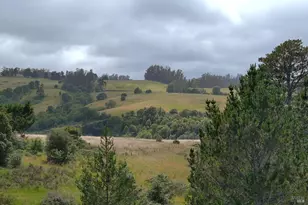 2930 Thorn Rd, Sebastopol, CA 95472 - Photo 23