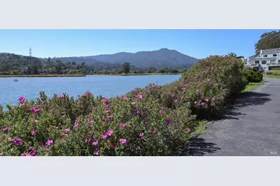 6057 Shelter Bay Avenue, Mill Valley, CA 94941 - Photo 37