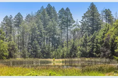 3567 State Highway 128, Calistoga, CA 94515 - Photo 63