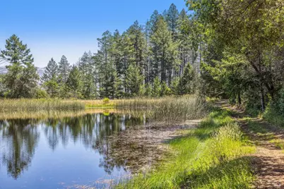 3567 State Highway 128, Calistoga, CA 94515 - Photo 69