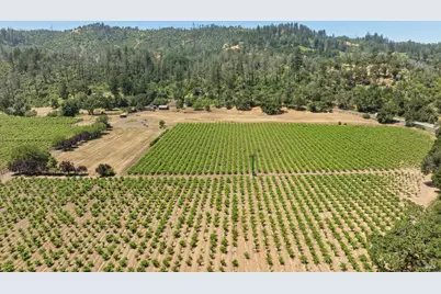 3567 State Highway 128, Calistoga, CA 94515 - Photo 3