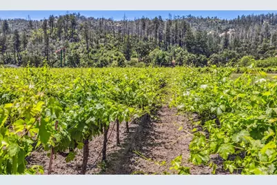3567 State Highway 128, Calistoga, CA 94515 - Photo 51