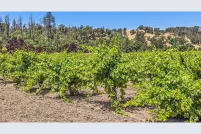 3567 State Highway 128, Calistoga, CA 94515 - Photo 49