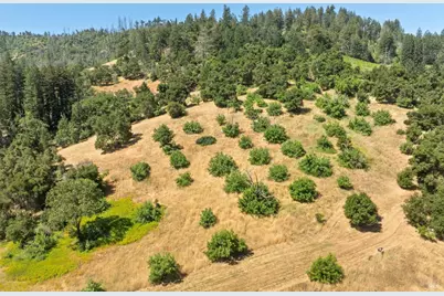 3567 State Highway 128, Calistoga, CA 94515 - Photo 19