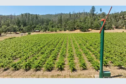 3567 State Highway 128, Calistoga, CA 94515 - Photo 5
