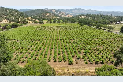 3567 State Highway 128, Calistoga, CA 94515 - Photo 31