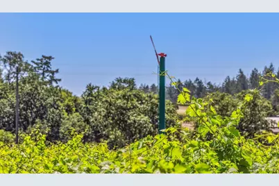 3567 State Highway 128, Calistoga, CA 94515 - Photo 47