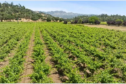 3567 State Highway 128, Calistoga, CA 94515 - Photo 33