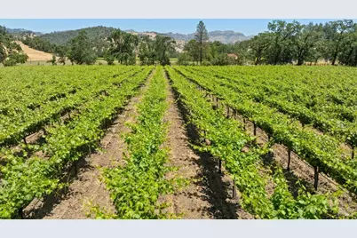3567 State Highway 128, Calistoga, CA 94515 - Photo 17