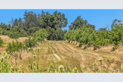 3567 State Highway 128, Calistoga, CA 94515 - Photo 73