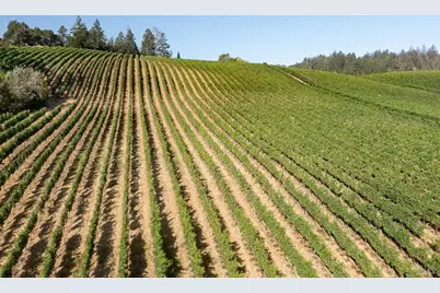 437 W Dry Creek Road, Healdsburg, CA 95448 - Photo 89
