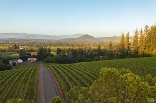 437 W Dry Creek Rd, Healdsburg, CA 95448 - Photo 93