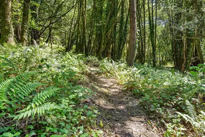 805 Wagnon Road, Sebastopol, CA 95472 - Photo 53