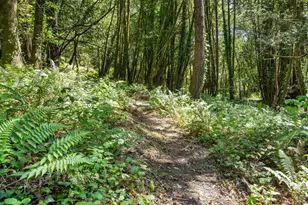 805 Wagnon Rd, Sebastopol, CA 95472 - Photo 53