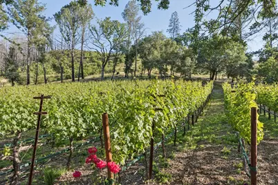 391 Crystal Springs Road, Saint Helena, CA 94574 - Photo 93
