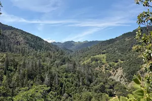 10150 Woodman Creek Rd, Laytonville, CA 95428 - Photo 11