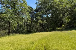 10150 Woodman Creek Rd, Laytonville, CA 95428 - Photo 15