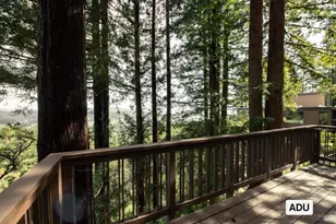 238 Summit Dr, Corte Madera, CA 94925 - Photo 41