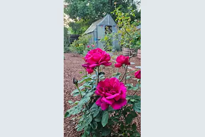 120 Van Winkle Drive, San Anselmo, CA 94960 - Photo 41